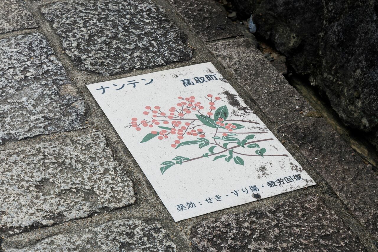 薬草のイラストが描かれたタイルは9種類あるそう。それぞれ薬効も記載されている。