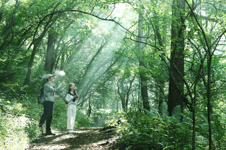 「野鳥の森ネイチャーウォッチング」。適度な運動が快眠を誘う。