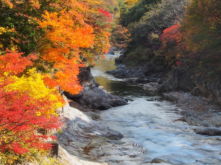 諏訪峡の紅葉。