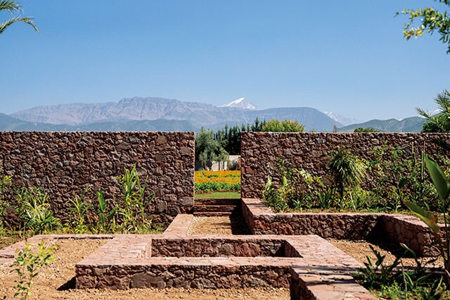 ウリカ コミュニティ ガーデンの植物の栽培は現地の32人の女性たちがすべて手作業で行っている。