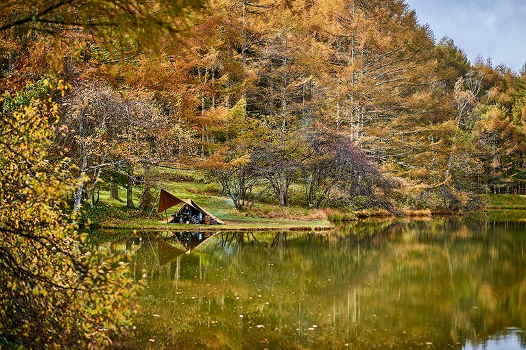 テントサイトの全体を覆うような美しい紅葉。