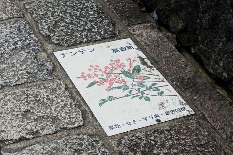 薬草のイラストが描かれたタイルは9種類あるそう。それぞれ薬効も記載されている。