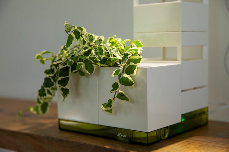 プランターポット、LEDライト、加湿器を兼ね備えた屋内ガーデンキット。自動給水機が植物に必要な水分を供給するので、多忙な人や留守にしがちな人も安心。LeGrow（グリーンガーデン） 40,400円／DQトレーディング