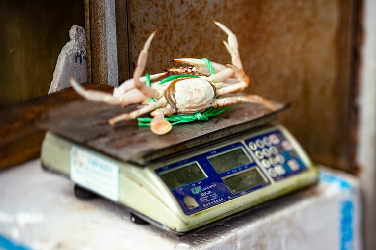 海鮮レストラン「阿本活海產」。花蟹は近海で獲れるワタリガニの一種。蟹は時価。