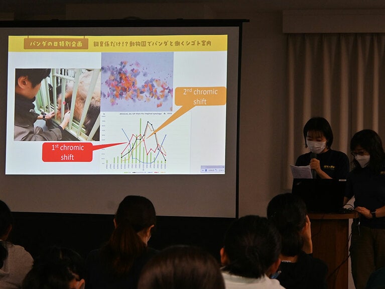 膣スメア検査。この図で赤が青を超えた「ファースト・クロミック・シフト」が発情ピーク（交配適日）の8日前、黄が赤を超えた「セカンド・クロミック・シフト」が交配適日の2日前を示すのが一般的だが、シンシンは「セカンド・クロミック・シフト」が交配適日とほぼ同日になる傾向がある。（筆者撮影。写真のスライドの内容は上野動物園が作成。以下同）