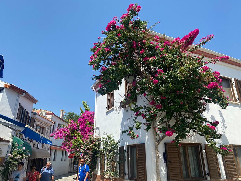 レストランの近くには、セフェリヒサールの遺跡や、ショッピングもできる通りがある。