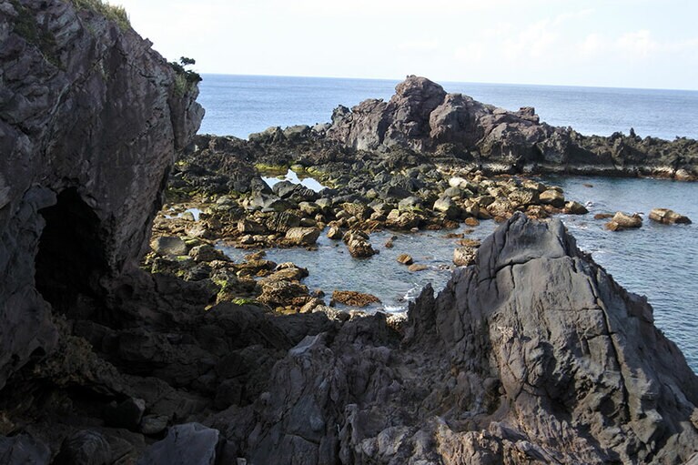 北側の美浦の荒々しい磯場。タイドプールには様々な海の生き物が。