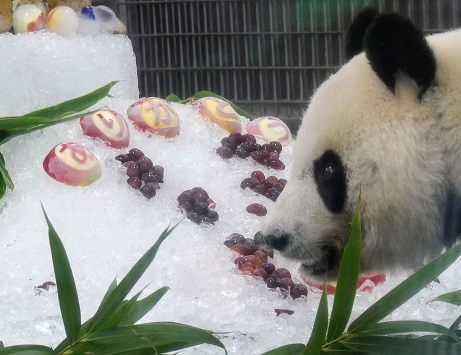 中国への帰国が決まっていた25歳の誕生日。タンタンの好物を使い、飼育員が氷のケーキを手作りしてプレゼント（2020年9月16日）。