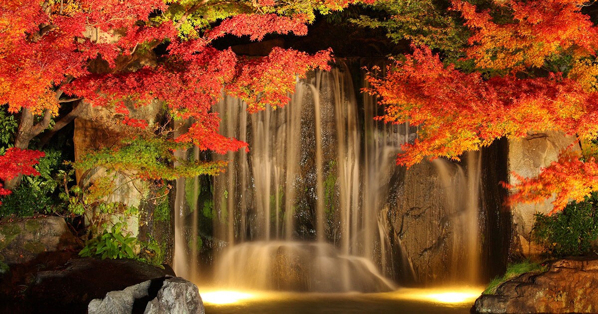 不*ト様 けものひめ　紅葉 秋の絶景・姫路市の2大スポット】これから見ごろを迎える圧巻の紅葉