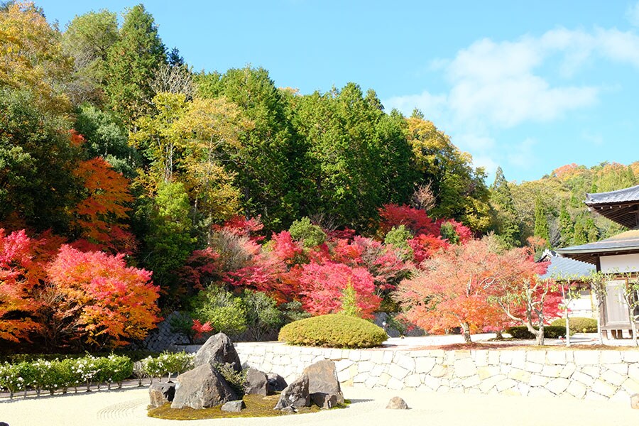 光信寺。写真提供：一般社団法人 神石高原町観光協会