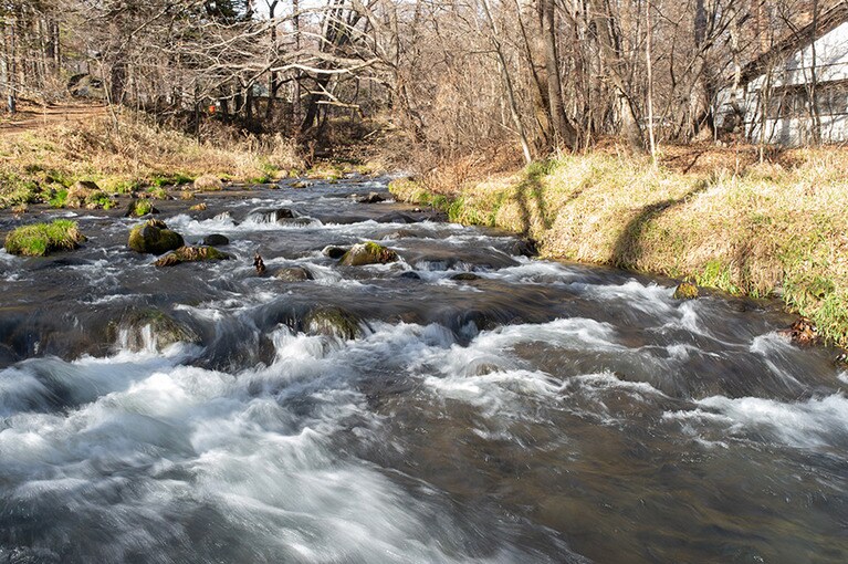 東京を出発し、1時間強でこの豊かな自然のなかに。