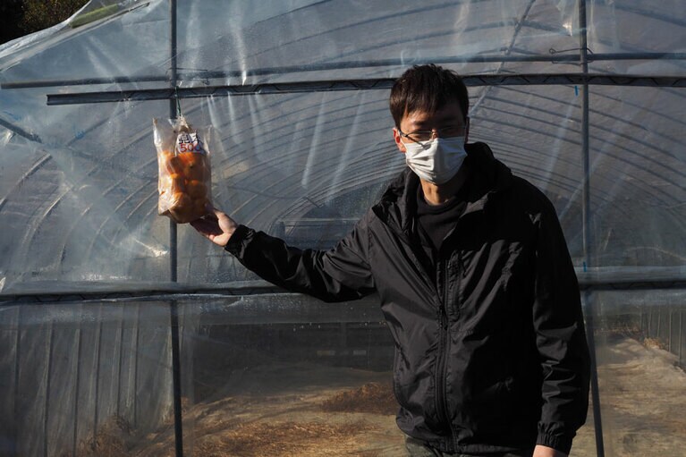 須賀園4代目の須賀祐介さんがみかんの収穫方法をレクチャー。