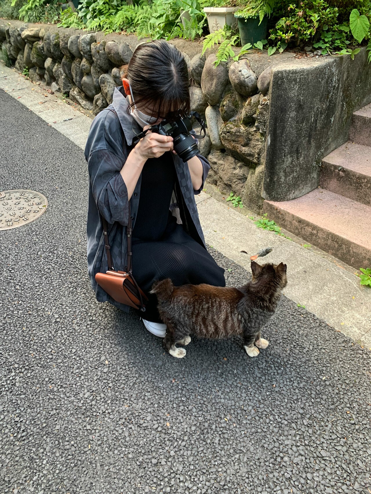 フィルムカメラで猫を撮影する田中さん。