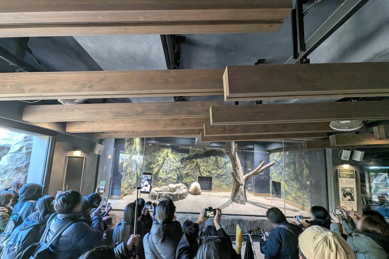 屋内に入ったシャオシャオ。（2025年12月26日、筆者撮影）