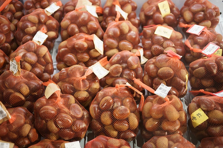 並んだ栗は、採れたてゆえツヤツヤと輝き、見るからにおいしそう。