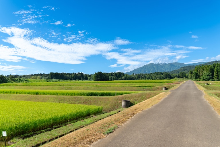 写真はイメージです。写真：twds/イメージマート