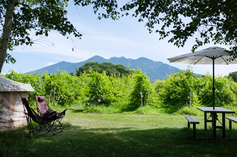 八ヶ岳の稜線がくっきり。木陰に入ると夏でも涼しい。
