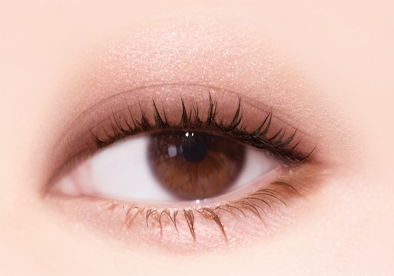 ＳＫ０２　フォギーブラウン 使用イメージ。