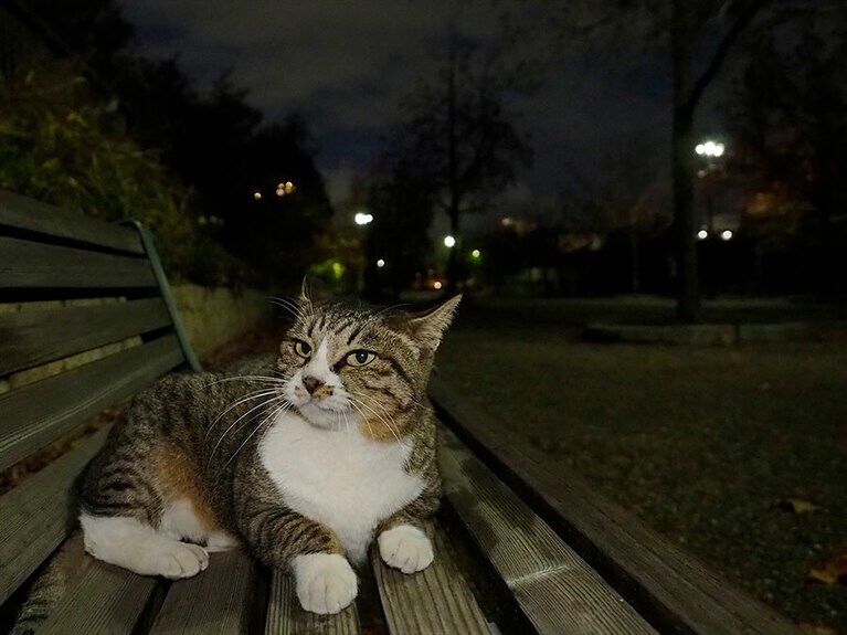 ムービー用LEDライトを補助光にして撮影。