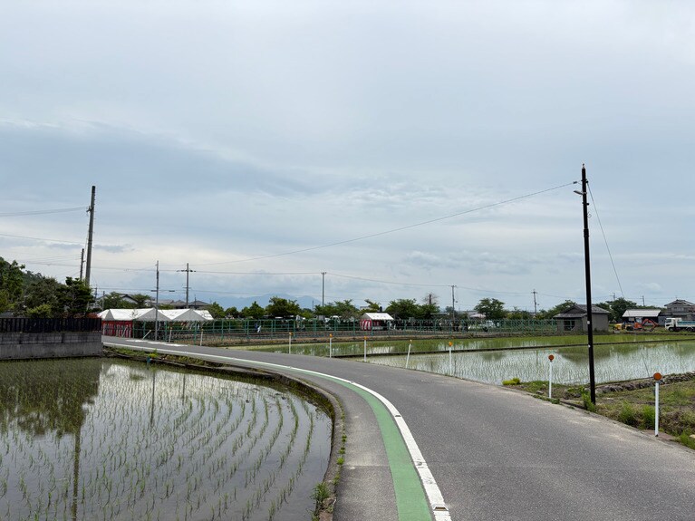 太郎坊宮「お田植大祭」が執り行われる脇を通り過ぎる。里山では、その季節だけの行事に思わず出くわすことも。