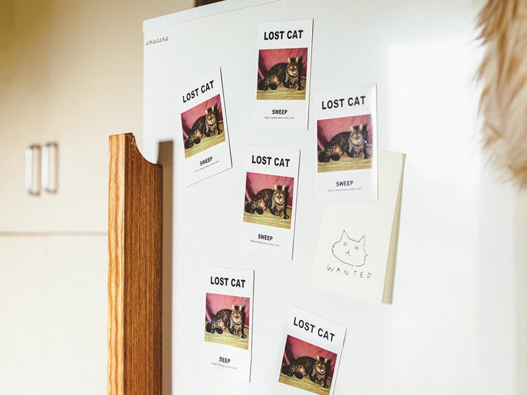 SWEEPのロストキャット マグネット 1枚550円／SWEEP