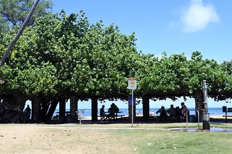 顔見知りの人たちが多いもよう。木陰やビーチでは挨拶を交わし、ちょっと会話もして去っていく、そんな光景が繰り広げられていました。