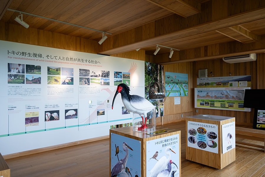 室内観察室には、トキの野生復帰の取り組みについて学べるほか、トキの重さを体感できるぬいぐるみなども。