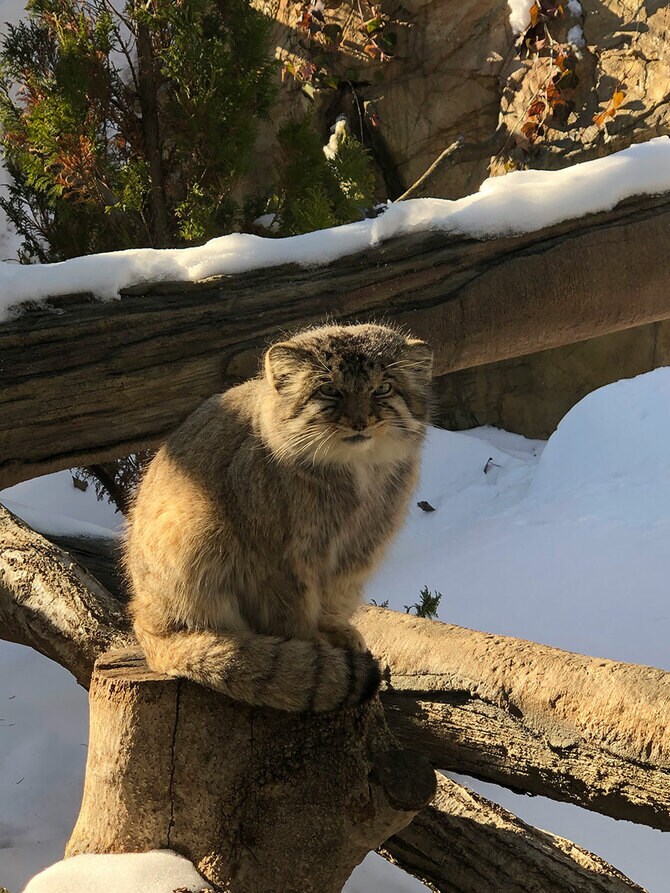 「那須どうぶつ王国」にて。写真＝CREA編集部