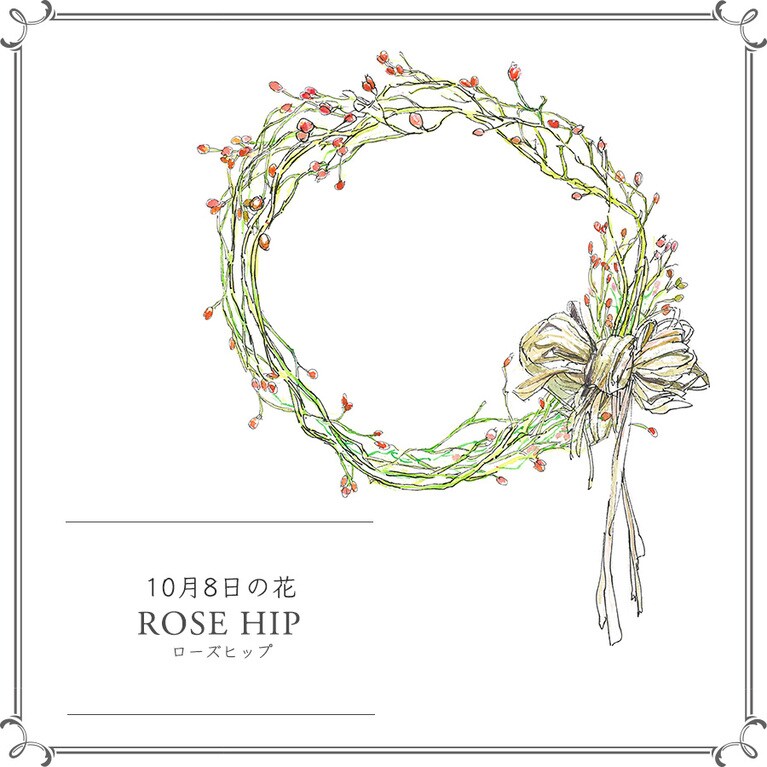 10月8日の花「ローズヒップ」