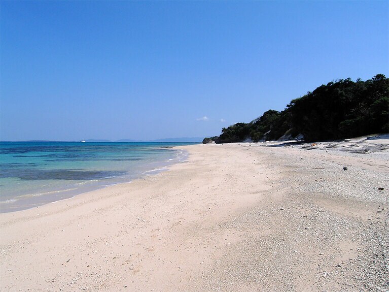 北の浜。季節によって砂がごっそりと移動することもあるとか。自然の力はすごいです。