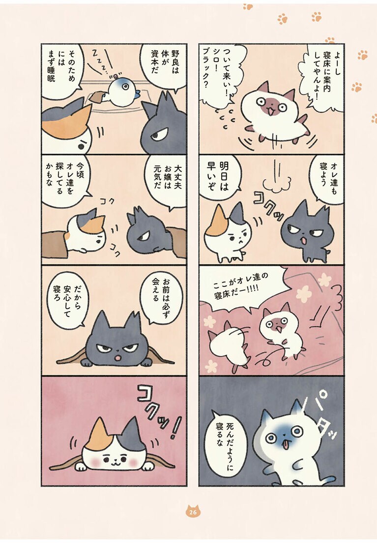 『もしもなんて来ないと思ってた猫』オキエイコ（実業之日本社）。