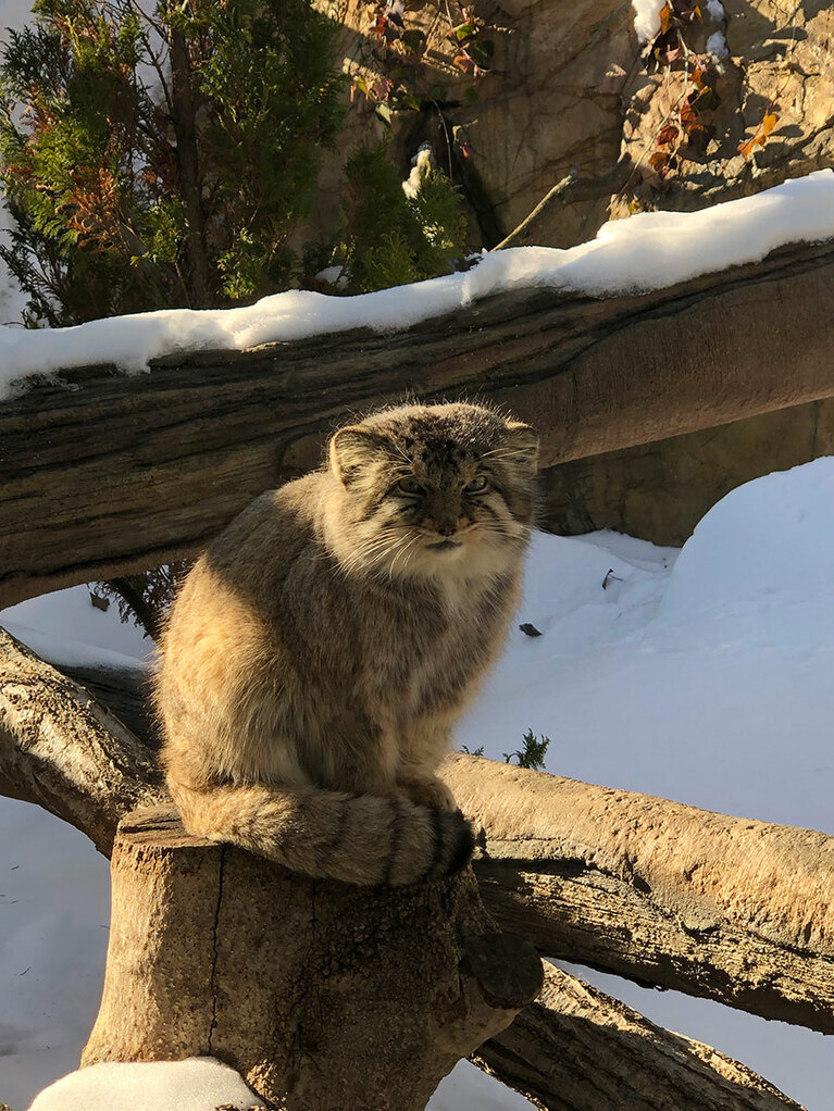 「那須どうぶつ王国」にて。写真＝CREA編集部