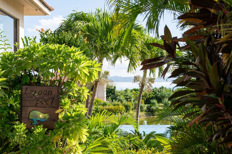 植栽のボリューム感、抜け感を絶妙に調整。