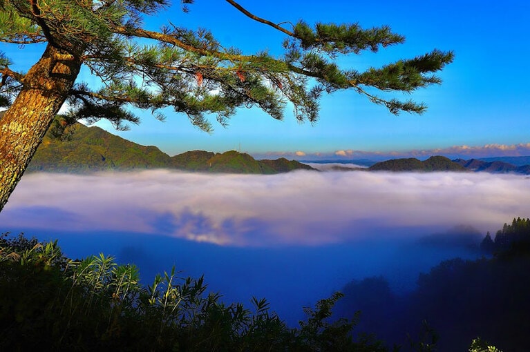 国見ヶ丘の雲海。