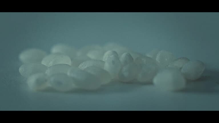 「NOGUCHI -酒造りの神様-」より。