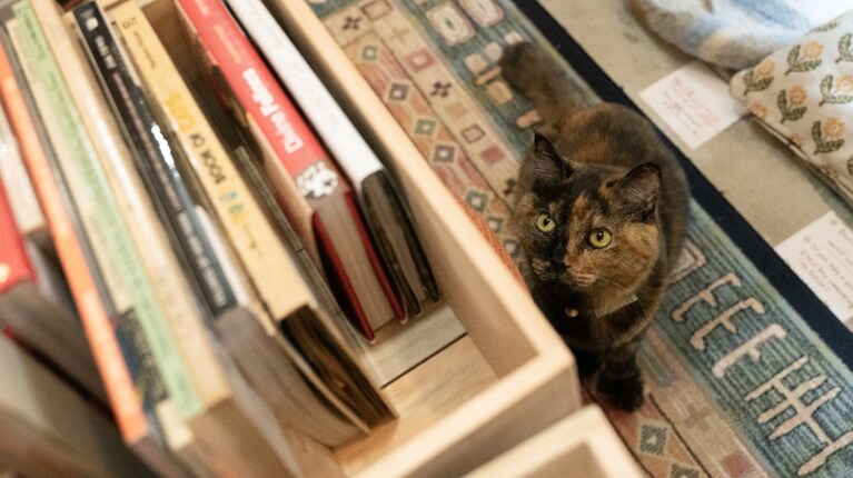 洋書もあります。