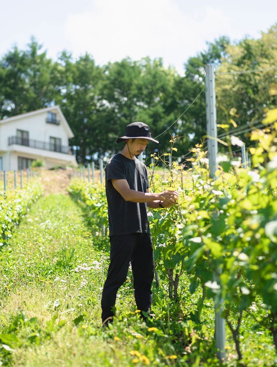 「ワイン造りは畑仕事が95％、醸造が5％」と語る醸造家の桒原さん。毎日畑でブドウの声に耳を傾ける。