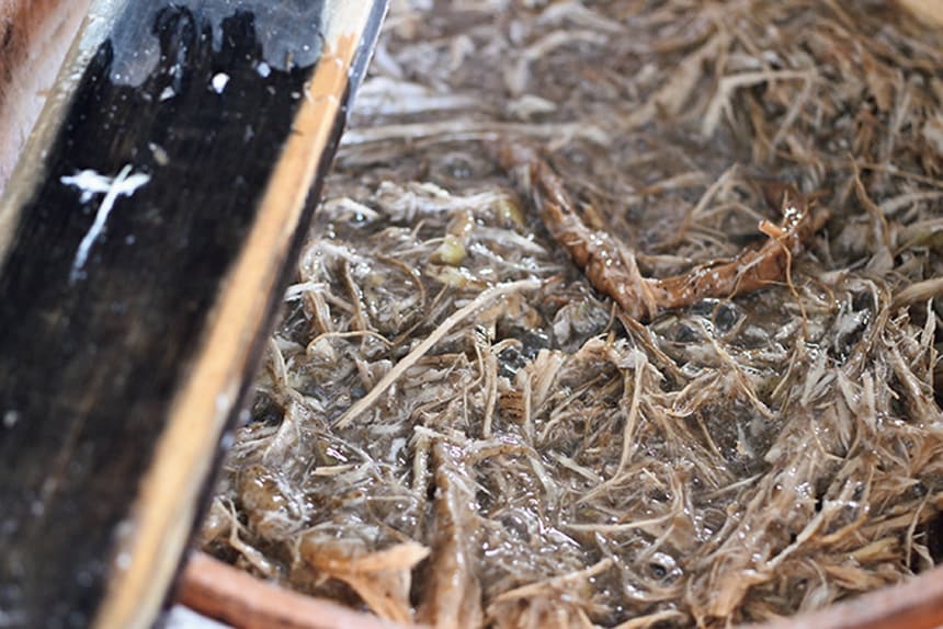 トロロアオイを水に浸し、紙漉きに不可欠な粘り成分“ネリ”を抽出。