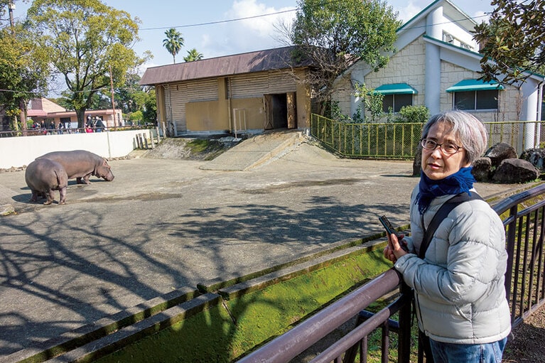 2020年2月にまとめられたマスター・プランでは大規模な再編・整備が予定されている猛獣舎。