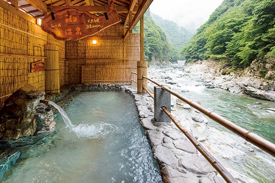 【和の宿 ホテル祖谷温泉】