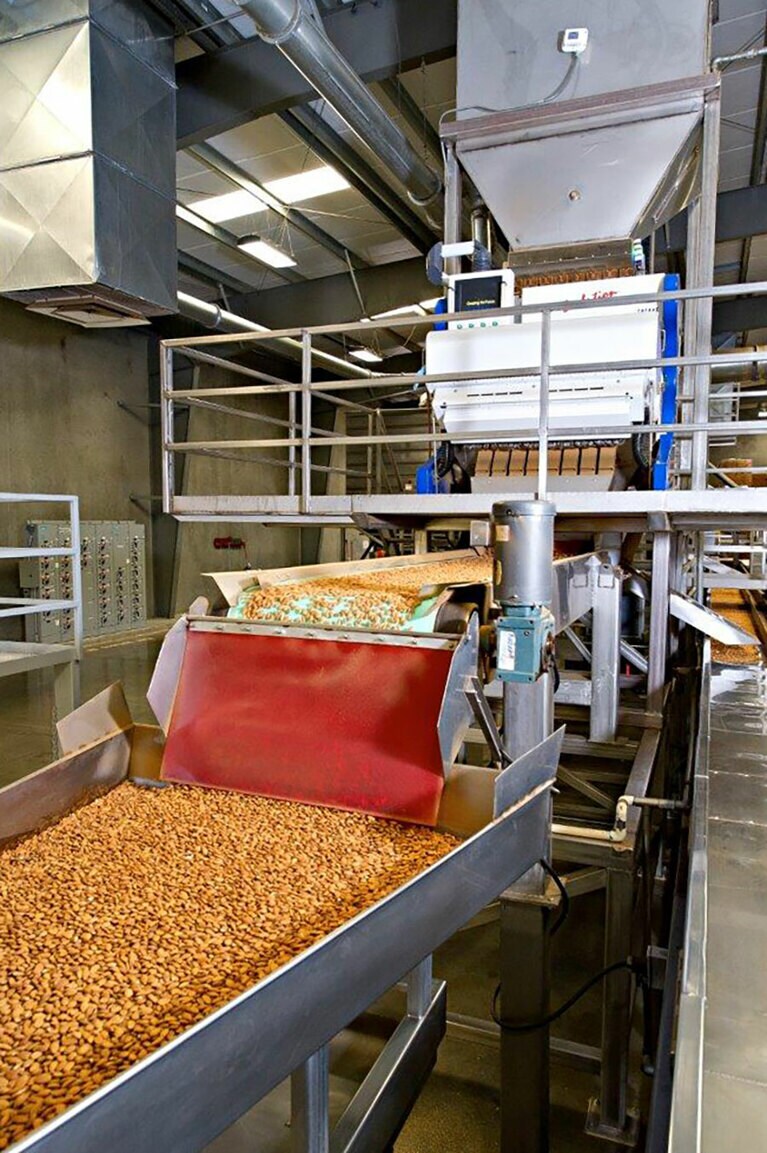 殻を外したり、選別したり、ほとんどの工程は機械化されている。