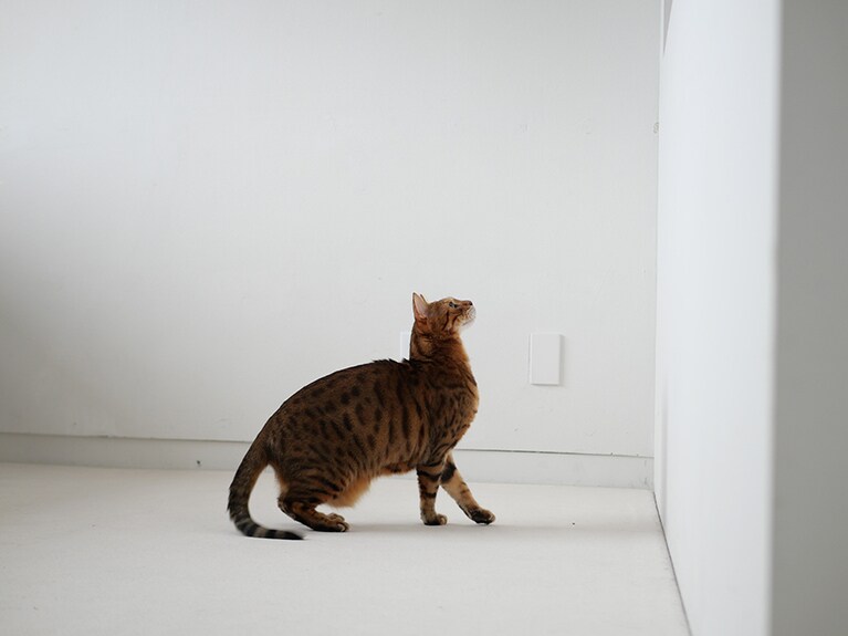 こちらも単焦点レンズを使った一枚：宮田さん撮影