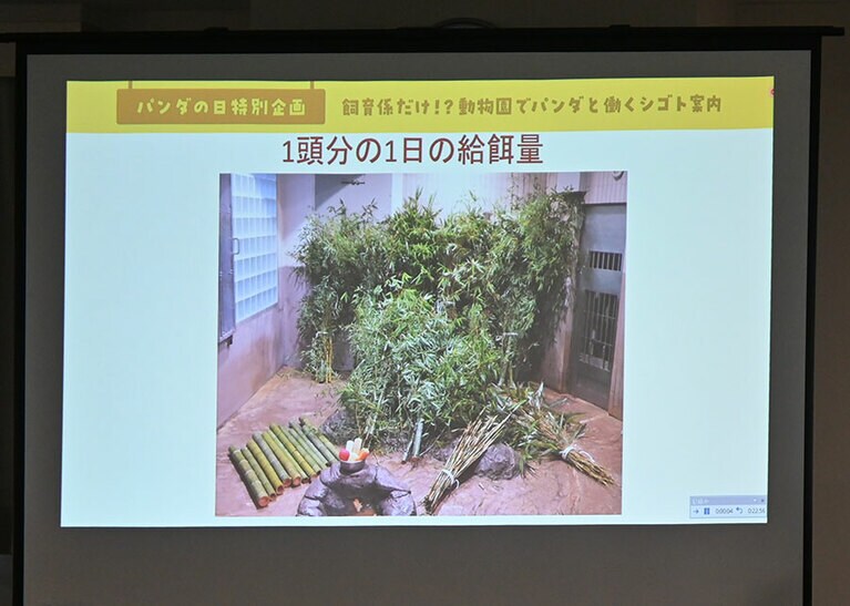 上野動物園で飼育しているパンダ1頭に対し1日にあげるエサ。パンダの食べ具合を見て、給餌量はこまめに変えている。