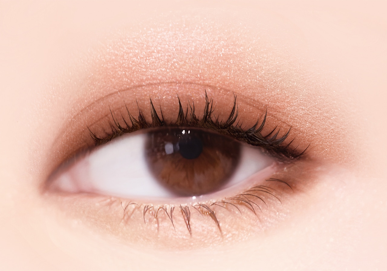 ＳＫ０３　ロイヤルブラウン 使用イメージ。