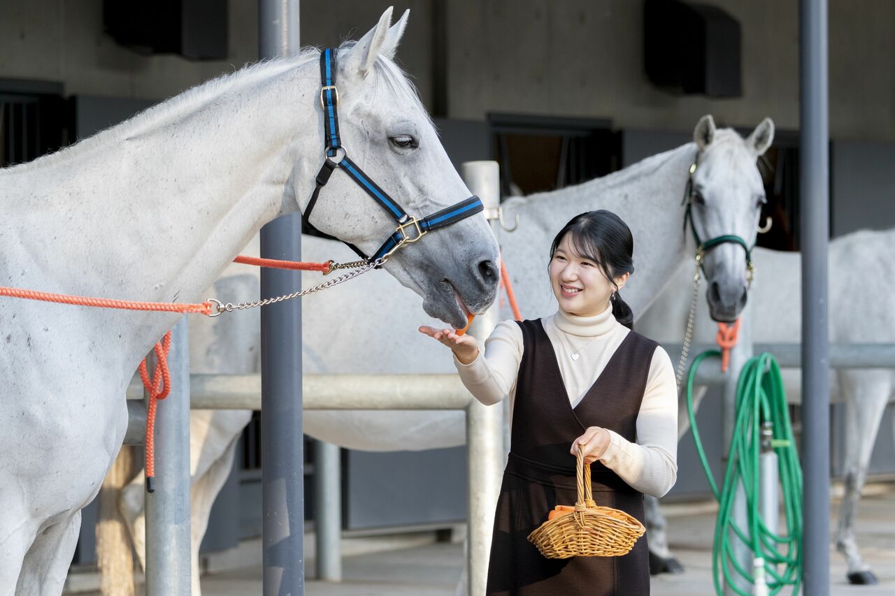 主馬班厩舎での愛子さま