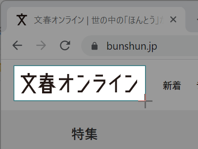 ［Windows］+［Shift］+［T］を押して起動したあと、画像化された文字を範囲選択すると、テキスト化されてクリップボードに格納されます