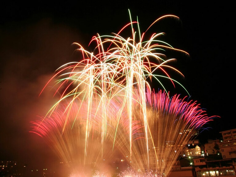 【岐阜県】下呂温泉『花火物語』～花火の歳時記～。