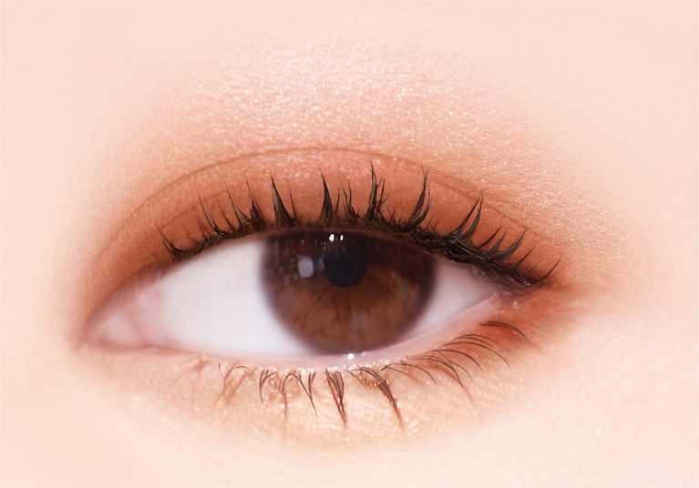 ＳＫ０５　アプリコットブラウン 使用イメージ。