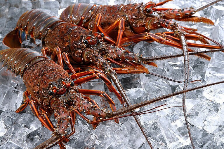 えっがね祭り。©K.P.V.B