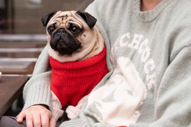 アザーカット。